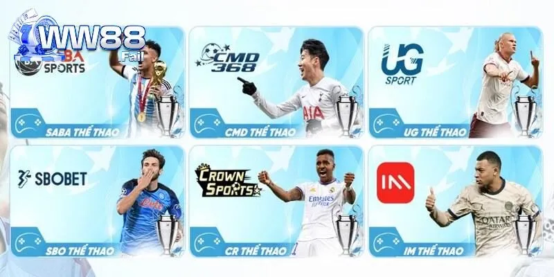 TRANG CHỦ 26 Khám phá không gian cá độ thể thao của WW88